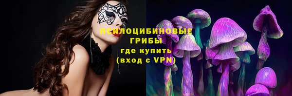 spice Дмитров