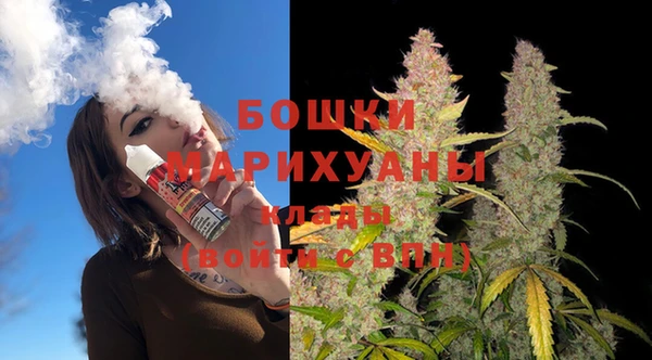 МДПВ Дмитриев