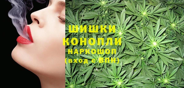 spice Дмитров