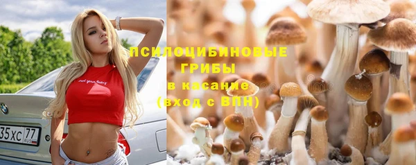 ГАЛЛЮЦИНОГЕННЫЕ ГРИБЫ Дмитровск