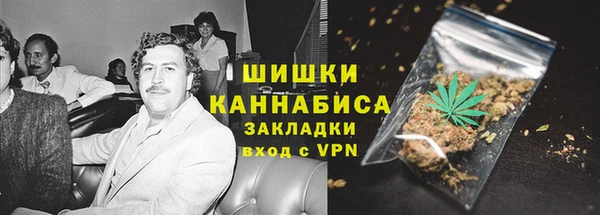 МДПВ Дмитриев