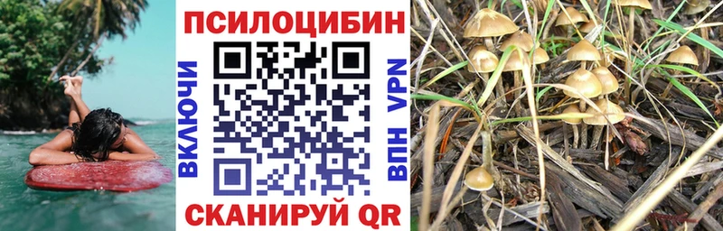 Купить закладки  Углич  Галлюциногенные грибы мицелий 